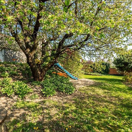 Vila Sluneční stráň Svoboda nad Úpou Exterior foto